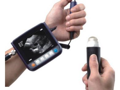 Hillinton is one of the Veterinary Ultrasound Scanners Market