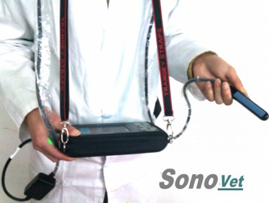 Sonovet