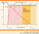 Spirometer Peak expiratory flow PEF