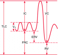 Lung Volumes and Capacities